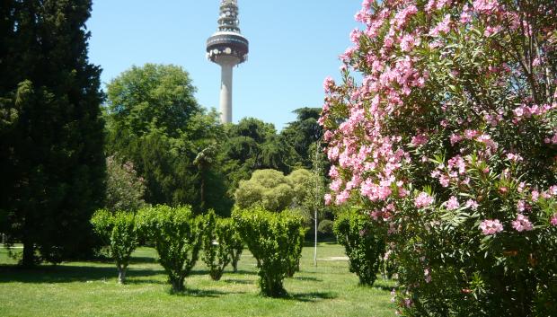 Fuente del Berro