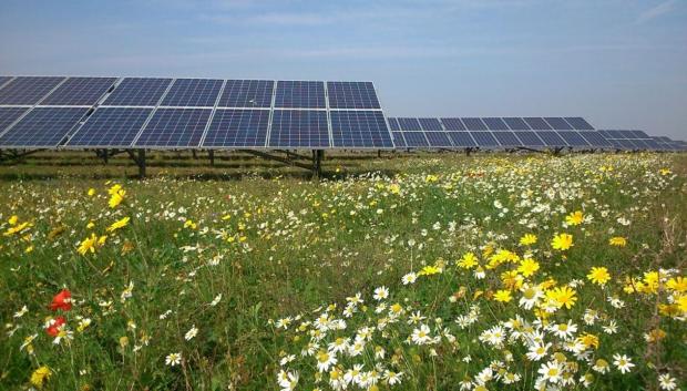 Placas fotovoltaicas de la empresa Statkraft en El Rancho, Andalucía