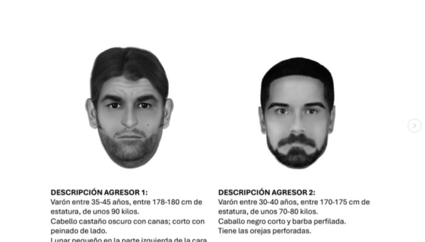 Retrato robot de los agresores