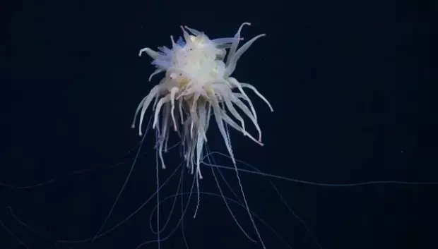 Monstruo espagueti