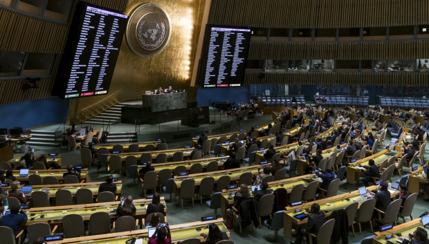 Asamblea General de la ONU