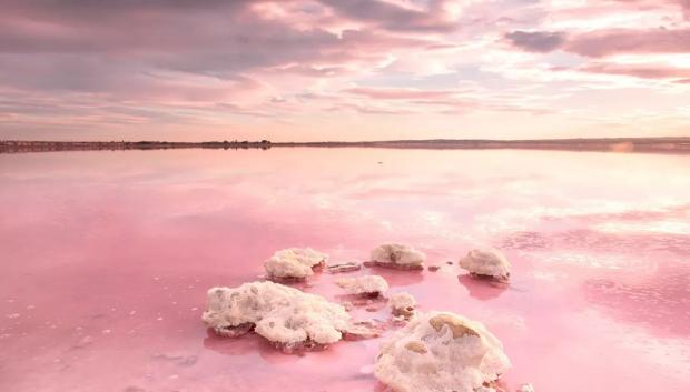La Laguna Rosa de Torrevieja