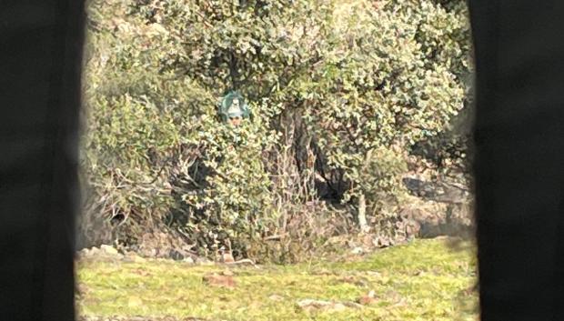 Perspectiva desde la tronera del puesto