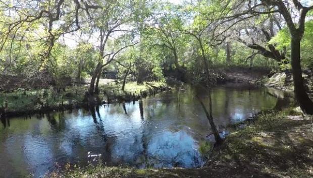 Río Steinhatchee, en Florida