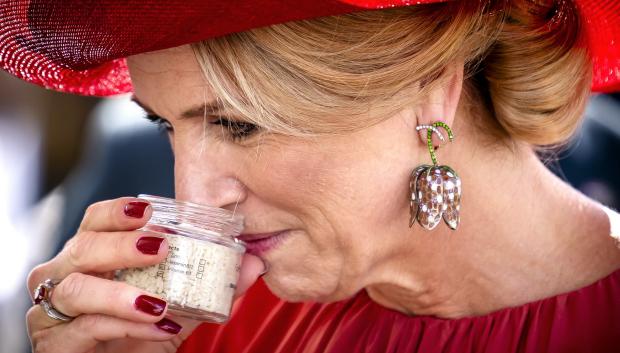 La Reina Máxima