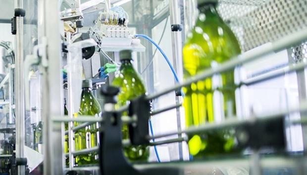 Envasado de aceite de oliva en Jaén