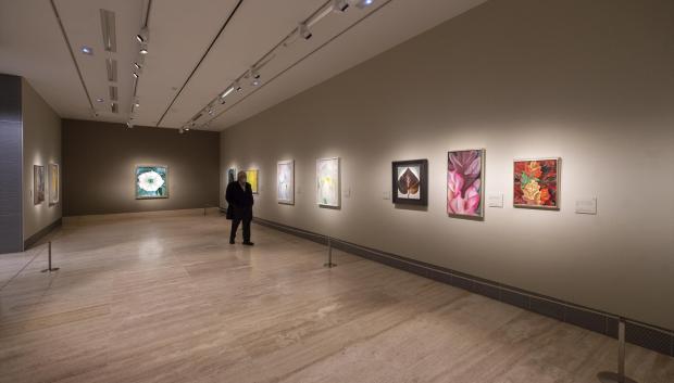 Una persona observa las obras que componen la retrospectiva de Georgia O’Keeffe (1887-1986) en el Museo Thyssen-Bornemisza