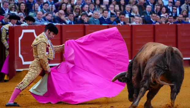 Morante de la Puebla, con el capote en este Domingo de Resurrección, primera corrida de la temporada en Sevilla