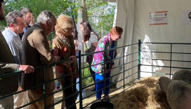 La Reina Sofía visita SI Campo