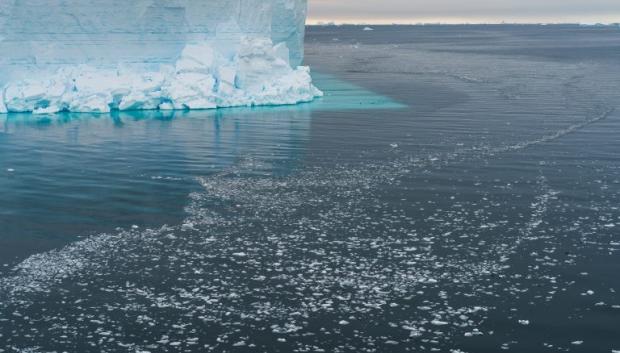 Restos del iceberg A-84 en el que se ha encontrado un ecosistema único