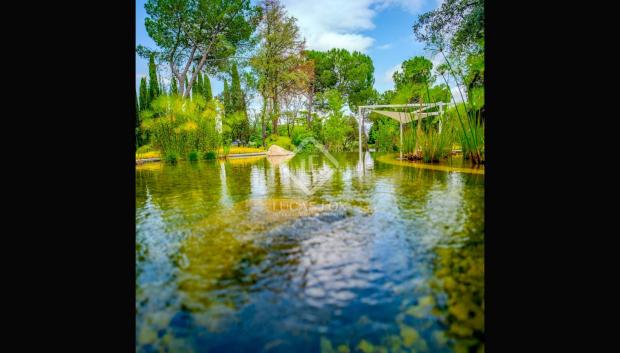 Lago en Villa Serenity