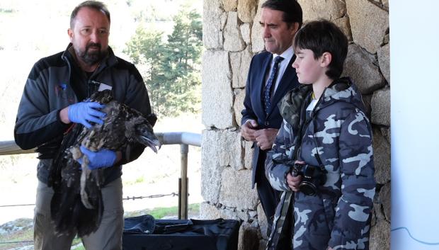Acto de la suelta de dos quebrantahuesos en Gredos