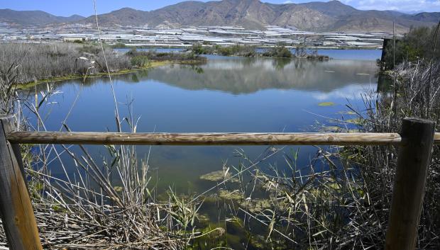 Imagen de la Reserva Natural Albufera de la localidad almeriense de Adra, donde la Junta de Andalucía va a destinar una inversión cercana al millón de euros para reforzar su conservación y con actuaciones dirigidas a la restauración ambiental, la recuperación del equipamiento público y la protección del perímetro del humedal frente a la entrada de especies invasoras como jabalíes o zorros. EFE / Carlos Barba