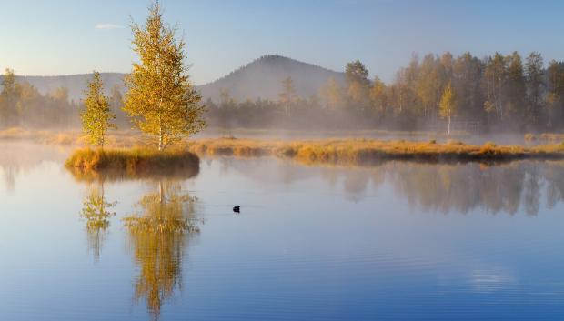 Parque Nacional de Šumava.
