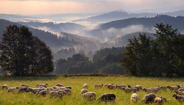 Parque Nacional de Šumava.