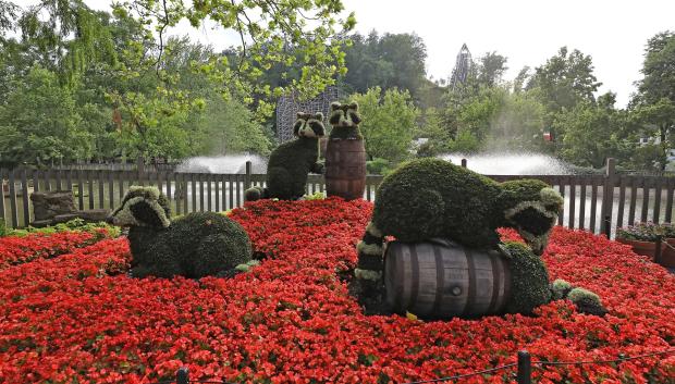Jardín con mapaches florales en el parque.