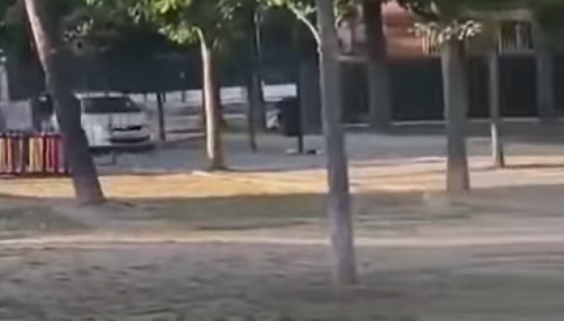 El coche a gran velocidad por mitad del parque