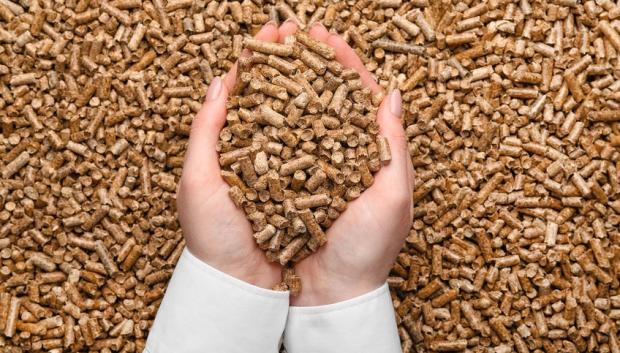 Mujer sosteniendo un montón de pellets de madera