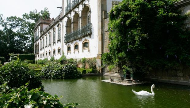 Estanque en el exterior de la casa con cisnes y patos.