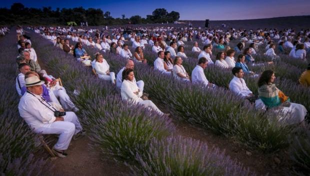 Festival de la Lavanda en Brihuega