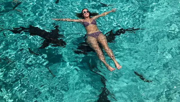 Baño con tiburones nodriza en la cercana isla Compass Cay.