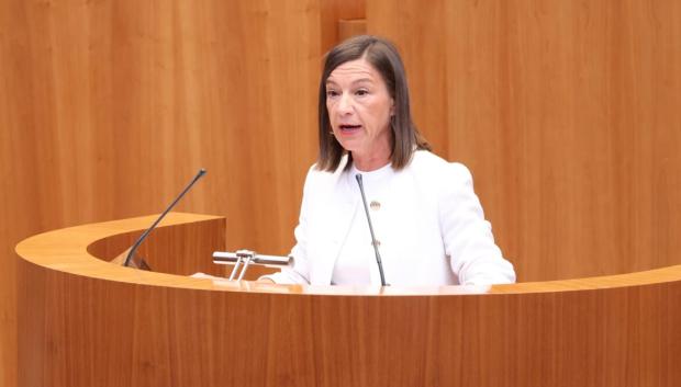 La procuradora socialista Laura Pelegrina, en las Cortes de Castilla y León