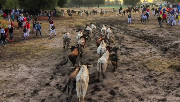Encierros de Almodóvar del Campo