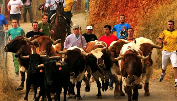 Encierros en Elche de la Sierra