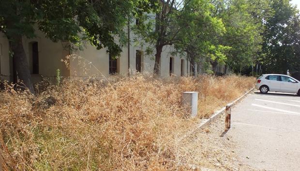 Basura en el entorno de la GMU de Córdoba