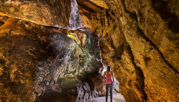 Cuevas del Salnitre.