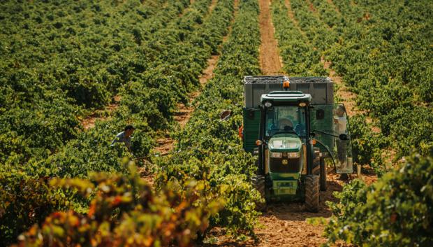 Tractor trabajando en viñedos de La Manchuela