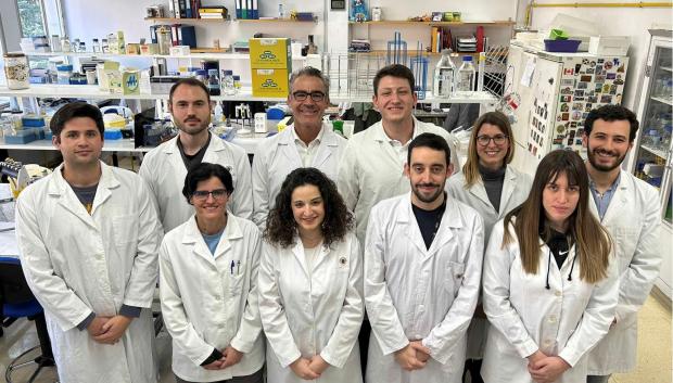 Equipo que ha estudiado el caso