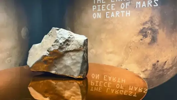 Imagen del meteorito NWA 16788, considerado el más grande de Marte