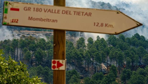 El incendio declarado este pasado domingo en el sur de Ávila sigue muy activo