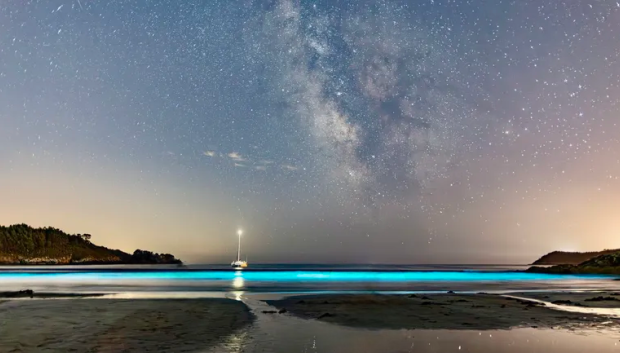 Bioluminiscencia en la playa de Estorde (Galicia).