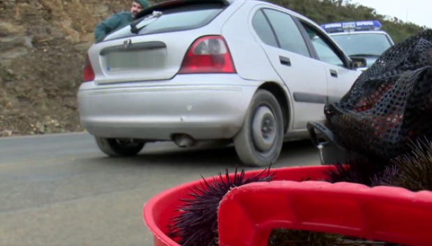 La imagen del vehículo antes del control