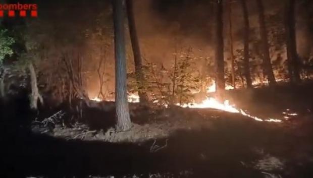 Imagen del fuego entre Amer y Susqueda (Gerona)