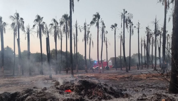 Incendio en Manacor
