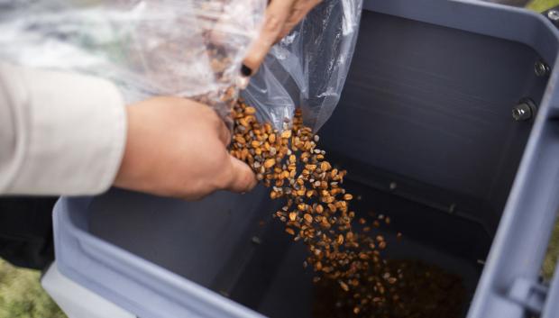 Un técnico del gobierno de México carga el contenedor de un dron agrícola para esparcir semillas