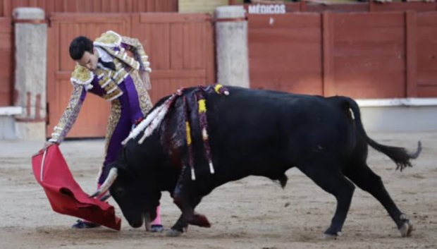 Tomás Rufo, este domingo en Guadalajara