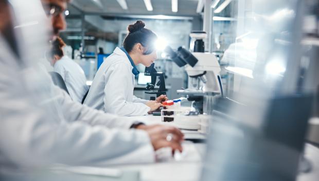 Investigadores observando muestras microscópicas en el laboratorio