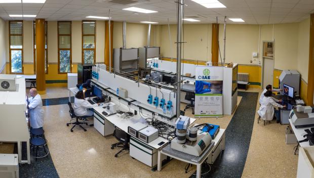 Equipo de trabajo del Centro Ibérico de Investigación en Almacenamiento Energético (CIIAE)