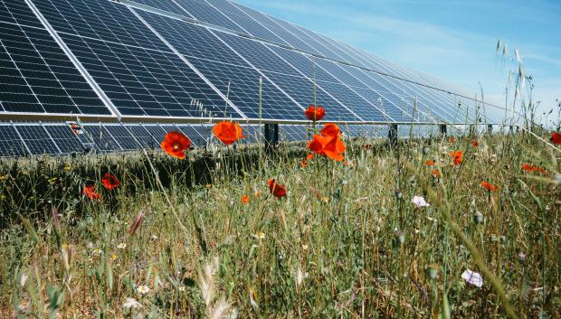 Vista de una planta solar en Extremadura
