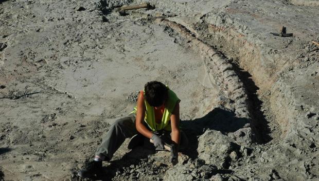 Excavación de la cola de un dinosaurio en Lo Hueco