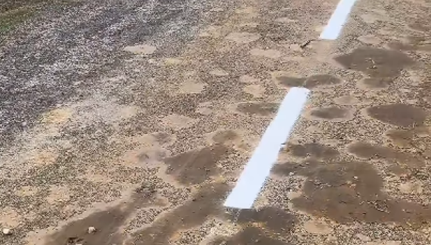 Líneas pintadas sobre barro y hojas, sin comentarios