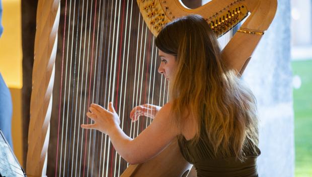 Imagen de Assumpció Janer tocando el arpa