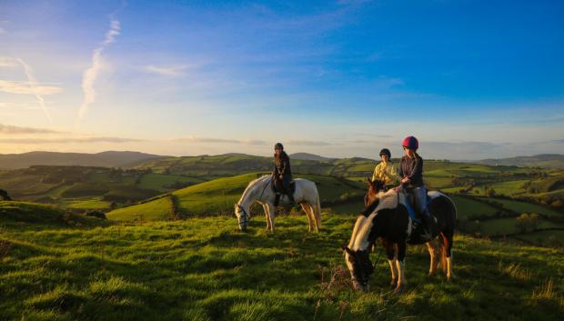 Paseo a caballo por el condado de Tipperary.