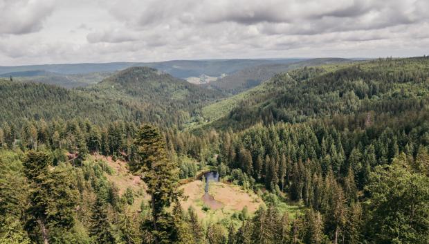 Vista del lago Ellbachsee desde el mirador Ellbachseeblick