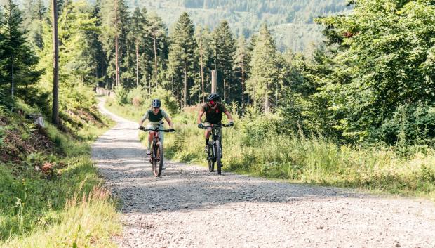 Cicloturismo cerca de Baiersbronn.