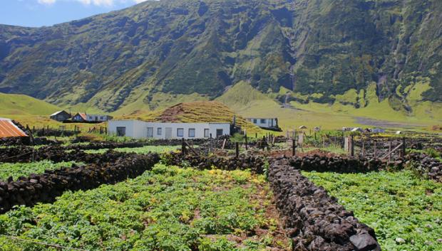 Cultivos para el autoabastecimiento en la isla.